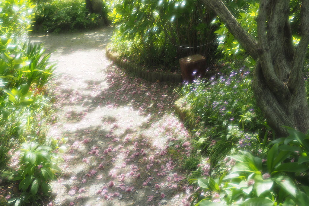 子安地蔵寺 １０