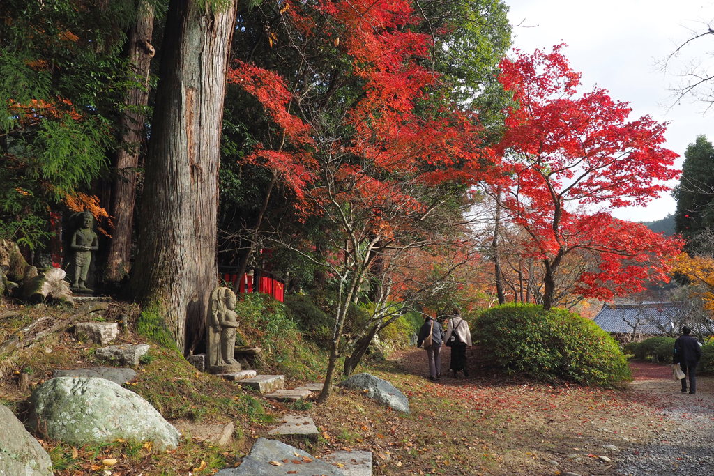 観心寺