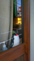 ウィンドウ