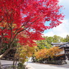 高野山の紅葉 １９