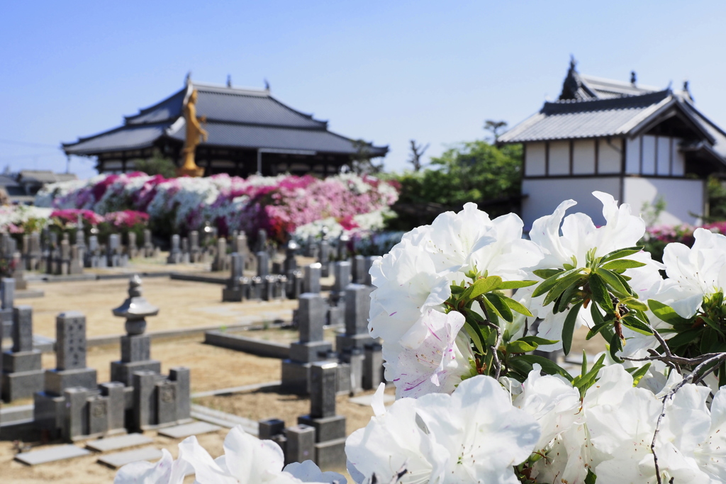 法雲寺