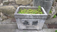 用水