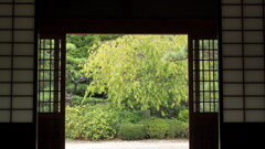 大仙公園日本庭園