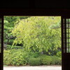 大仙公園日本庭園