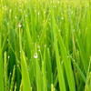水滴