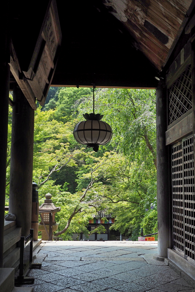 長谷寺・大悲閣 １２