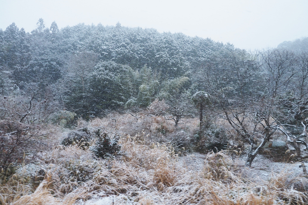 雪景色