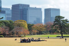 皇居東御苑 ５