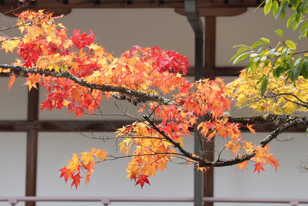 高野山にて