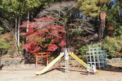 園児と紅葉