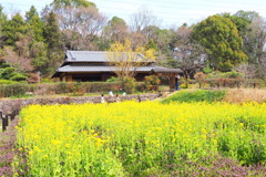 里の春