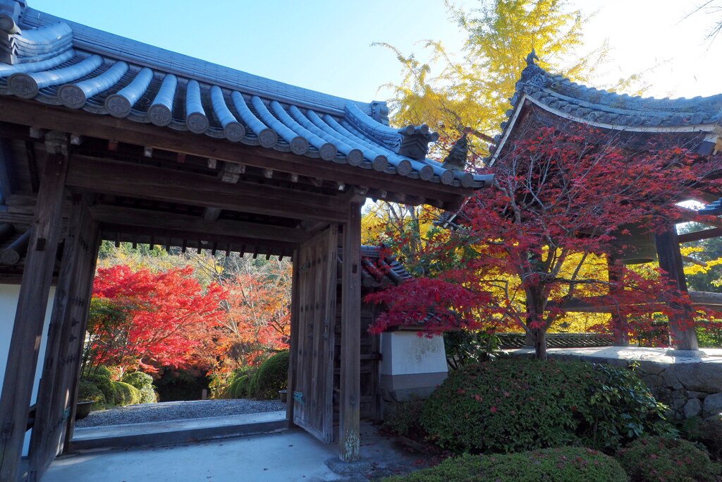 西恩寺の紅葉 ２