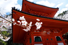 多宝塔