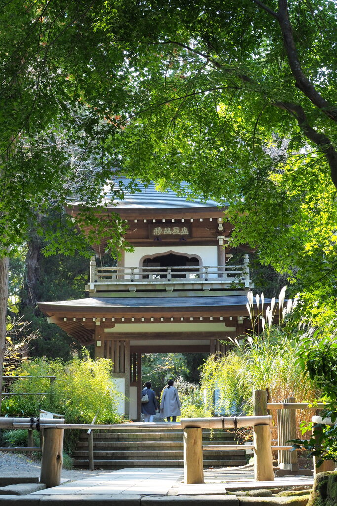 浄智寺 ４