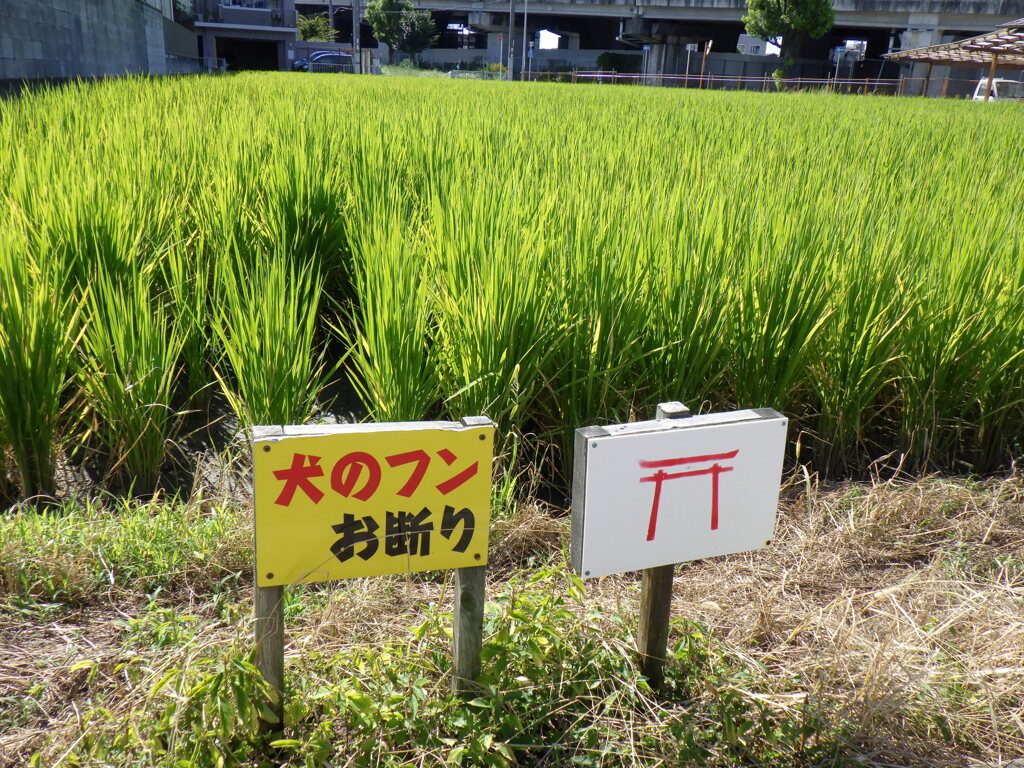 鳥居