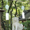風鈴まつり