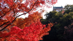 紅葉渓庭園