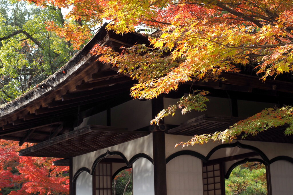 紅葉渓庭園・鳶魚閣 ６