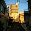 朝日の当たるマンション
