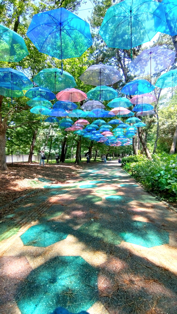 アンブレラスカイ