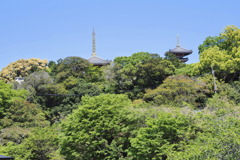 塔遠望