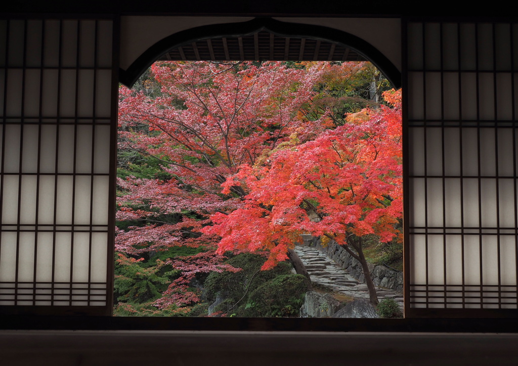 紅葉渓庭園・鳶魚閣 ８