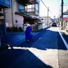 朝