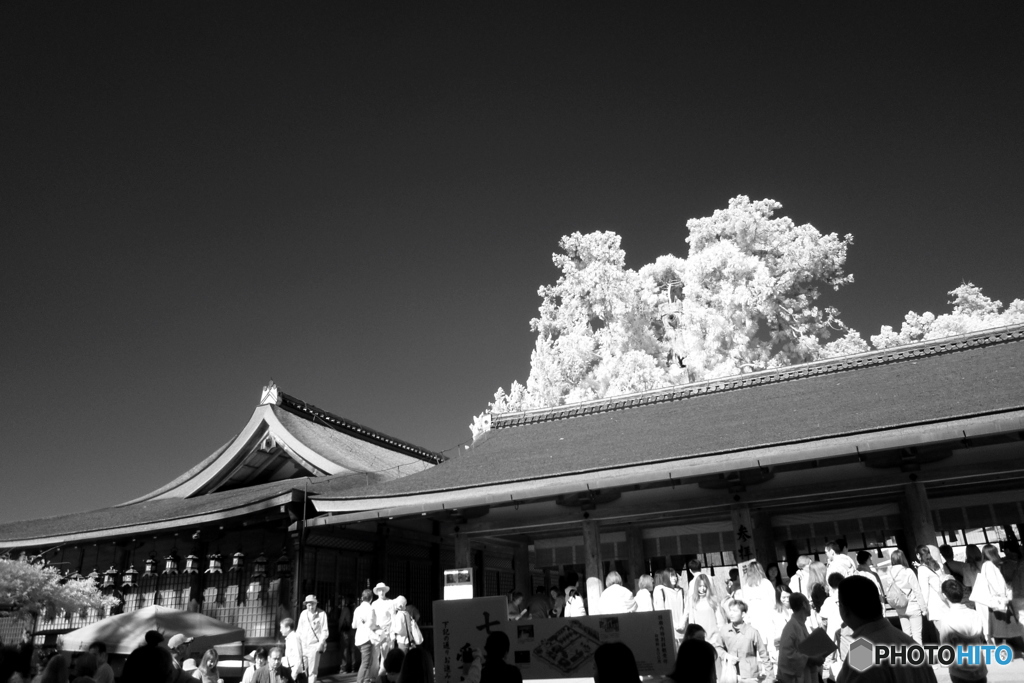 春日大社