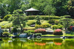 大仙公園日本庭園 １