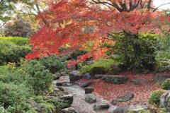大仙公園日本庭園の秋 ８