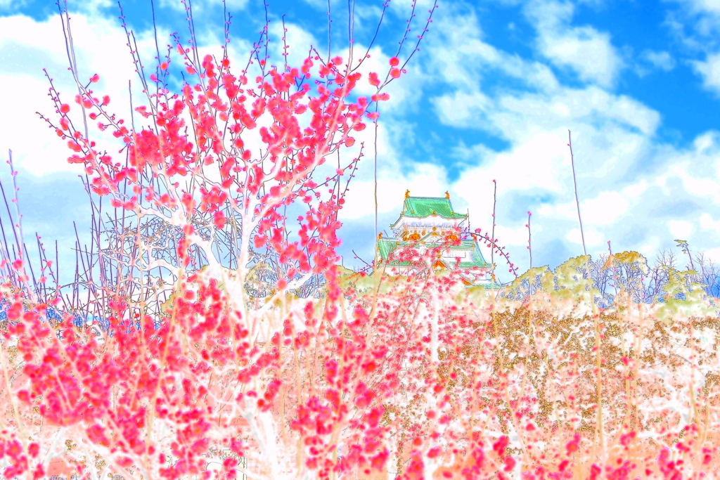 梅と大阪城 ２