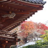 岡寺山門