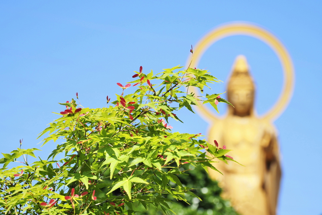 法雲寺