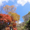 岡城跡