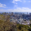 神戸市街