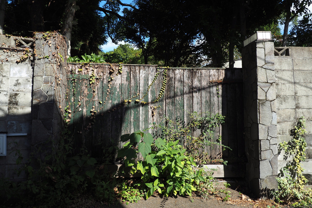 Door ２