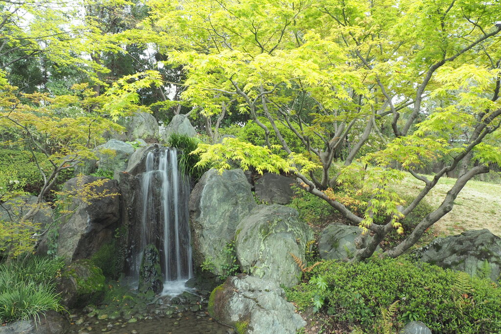 極楽浄土の庭 １