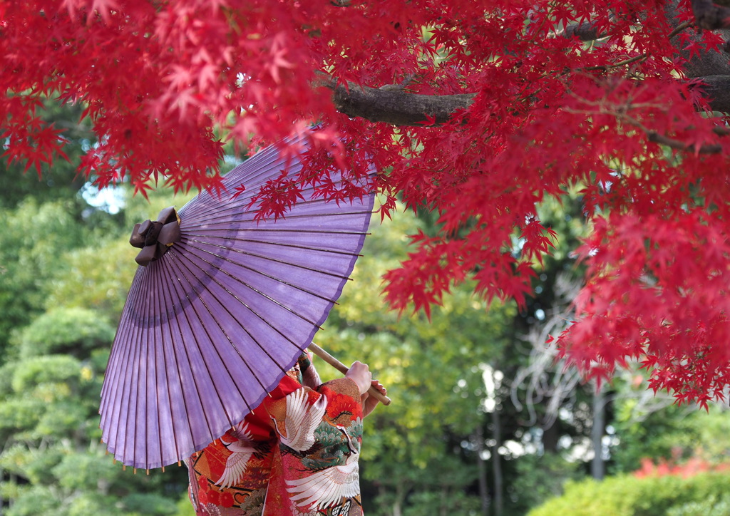 大仙公園日本庭園 ９