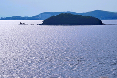 漣
