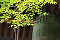お寺で