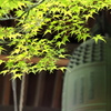 お寺で