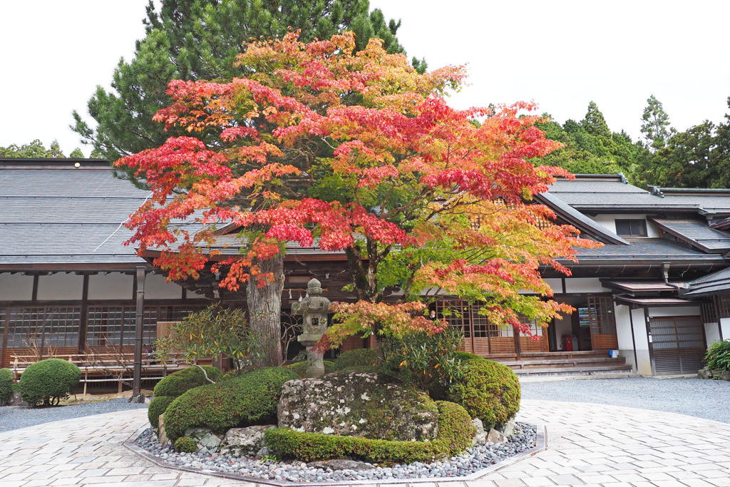 高野山にて