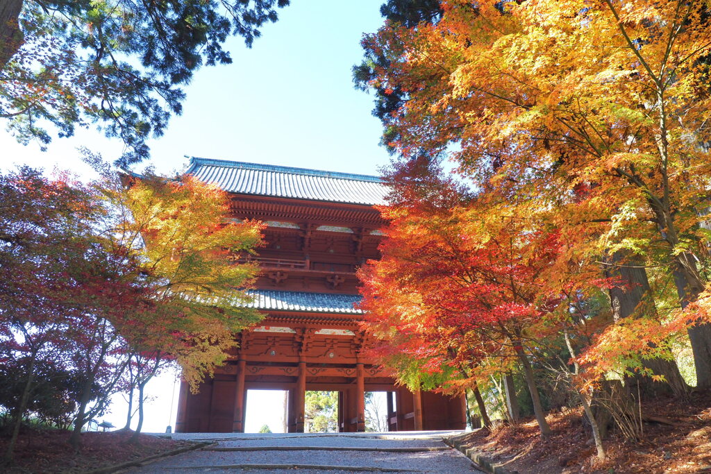 大門の紅葉