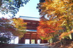 大門の紅葉