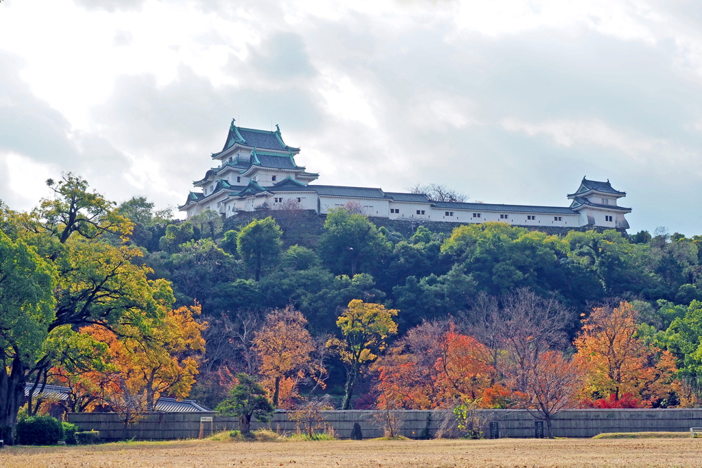 秋色和歌山城 ２