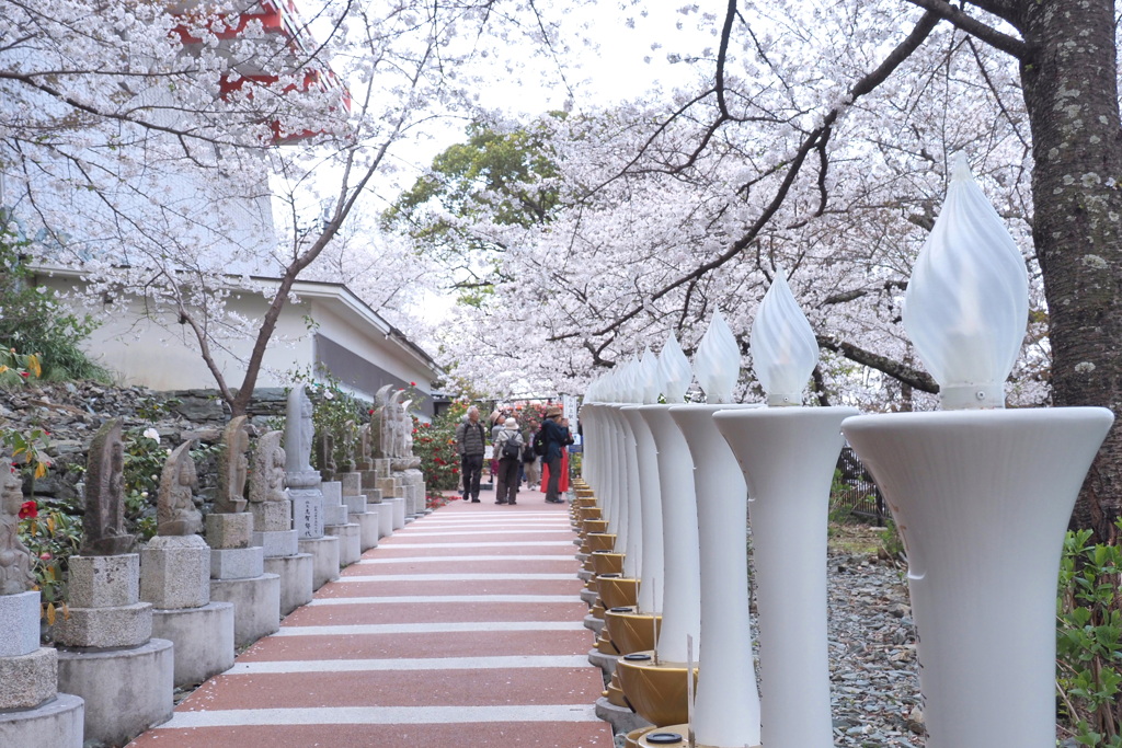 参道