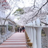 参道
