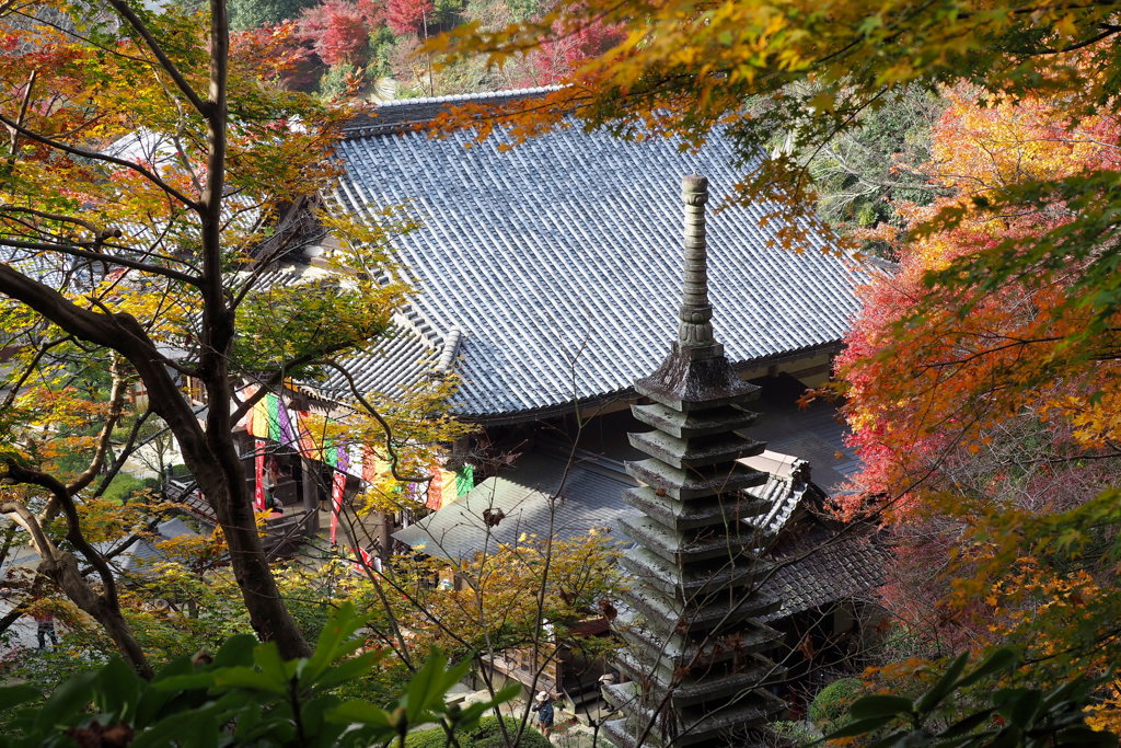 岡寺本堂と十三重石塔