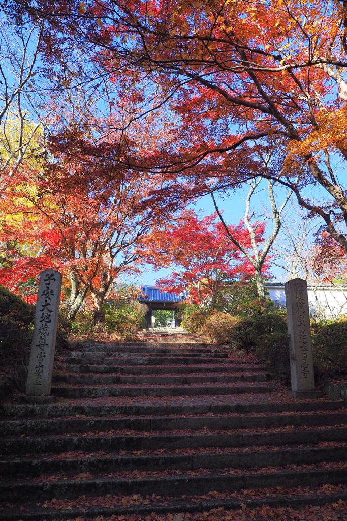 西恩寺の紅葉 １