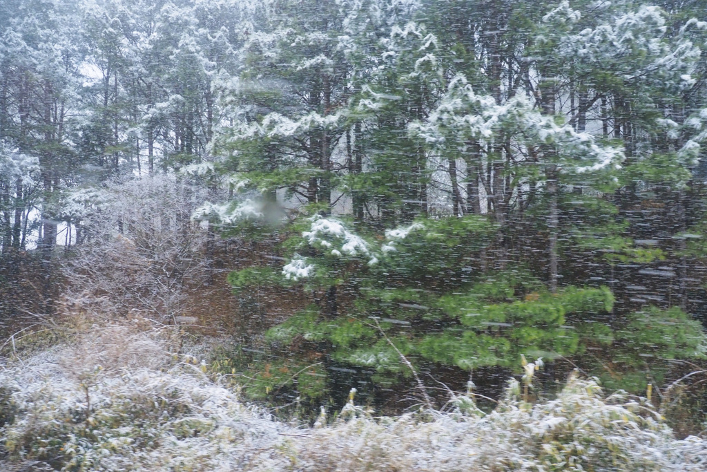 雪景色